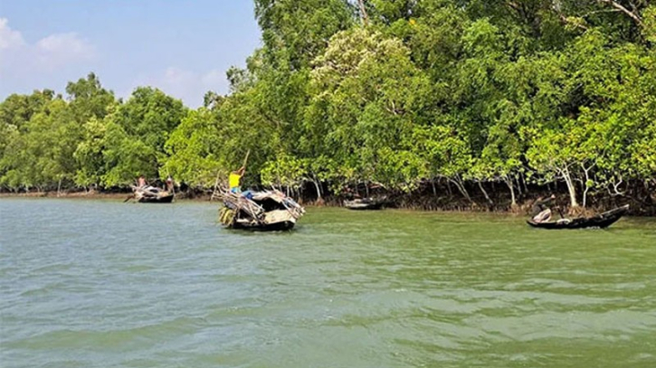 সুন্দরবনে ৩ মাসের জন্য প্রবেশে নিষেধাজ্ঞা সুন্দরবনে ৩ মাসের জন্য প্রবেশে নিষেধাজ্ঞা