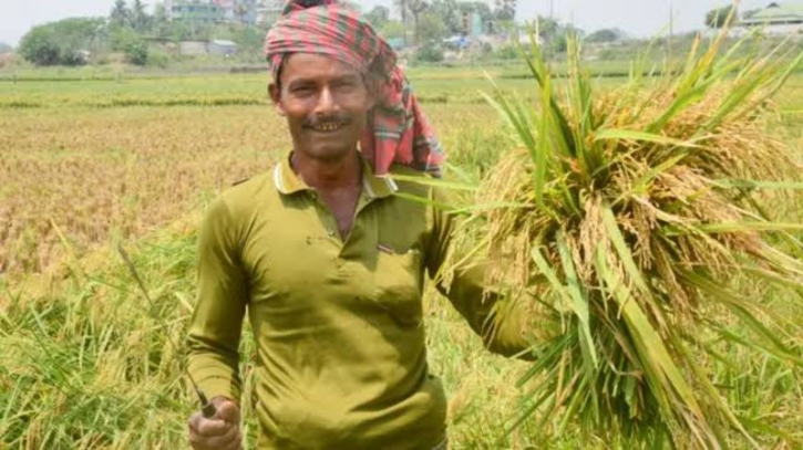 ব্যবসায়িক কৃষিতে ক্ষুদ্র কৃষকের ক্ষমতায়ন ব্যবসায়িক কৃষিতে ক্ষুদ্র কৃষকের ক্ষমতায়ন
