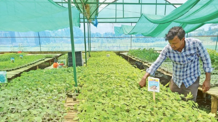 শাকসবজি ও ফল উৎপাদনে আধুনিক গবেষণার সম্ভাবনা শাকসবজি ও ফল উৎপাদনে আধুনিক গবেষণার সম্ভাবনা