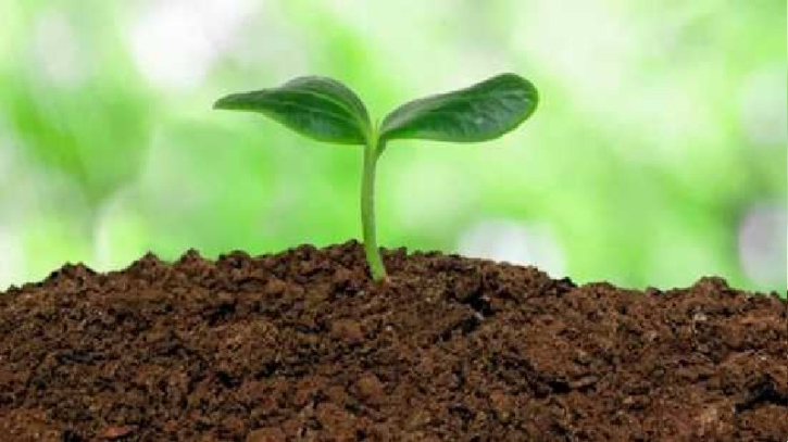 মাটি: কৃষির জননী, জীবনের জননী